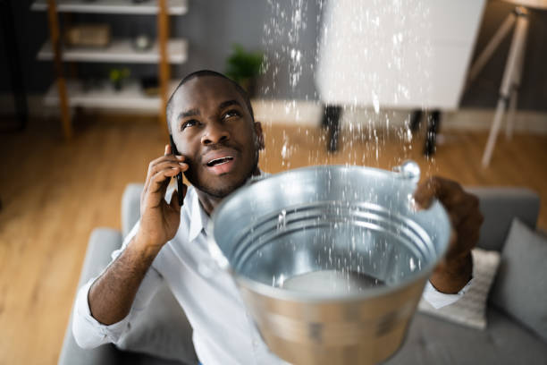 Best Water damage restoration near me  in Campbell, OH