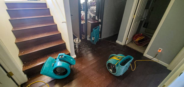 Best Water damage cleanup near me  in Campbell, OH