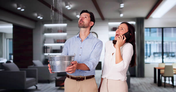 Best Basement water damage restoration  in Campbell, OH